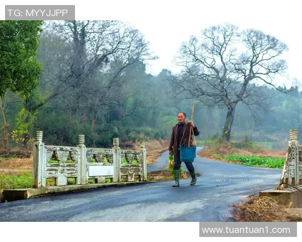 31+27+三节三双！生计新高了，仍是买卖好啊